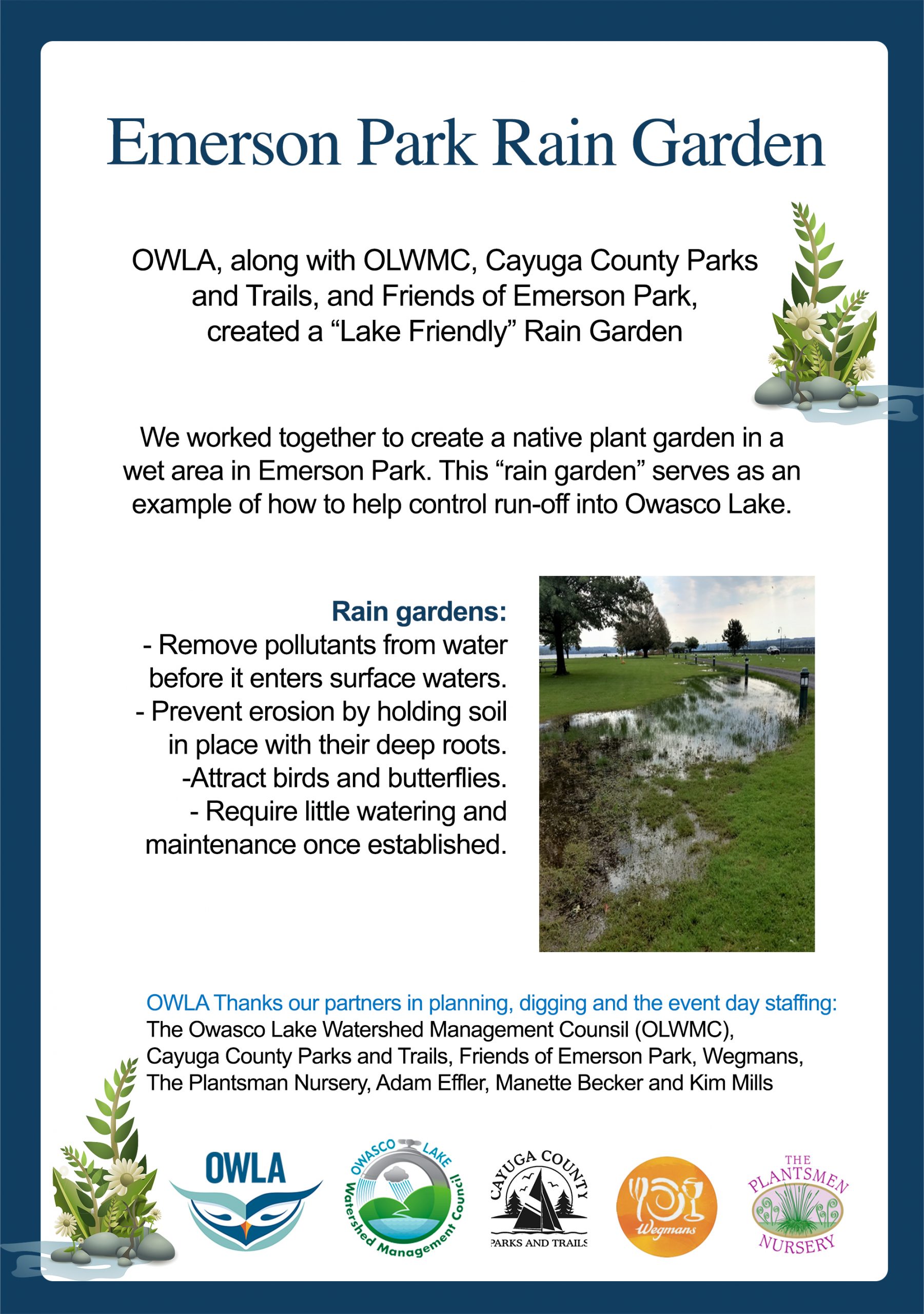 RainGarden